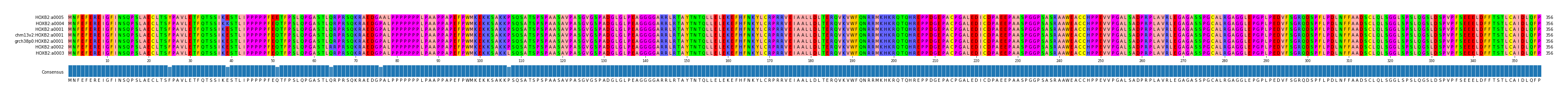 Multiple Alignments (by translate haplotype similarity)