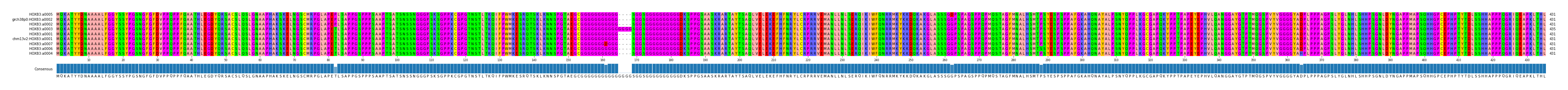 Multiple Alignments (by translate haplotype similarity)