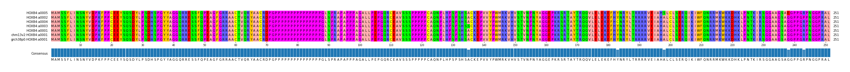 Multiple Alignments (by translate haplotype similarity)
