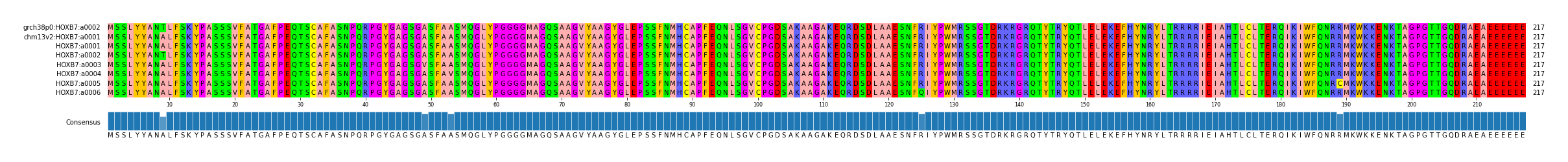 Multiple Alignments (by translate haplotype frequency)