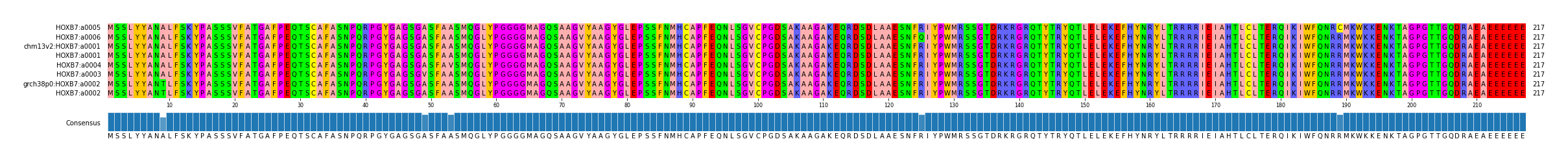 Multiple Alignments (by translate haplotype similarity)