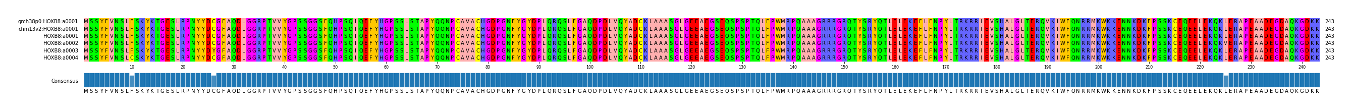 Multiple Alignments (by translate haplotype frequency)