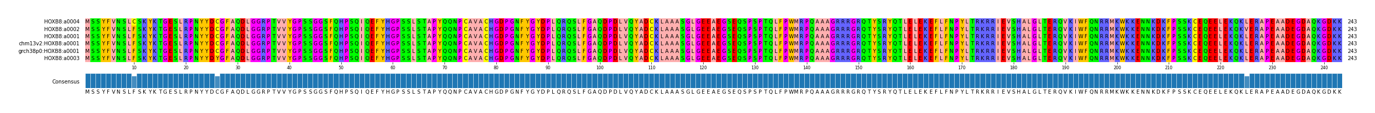 Multiple Alignments (by translate haplotype similarity)