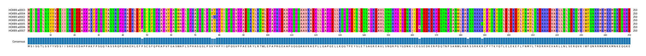 Multiple Alignments (by translate haplotype similarity)