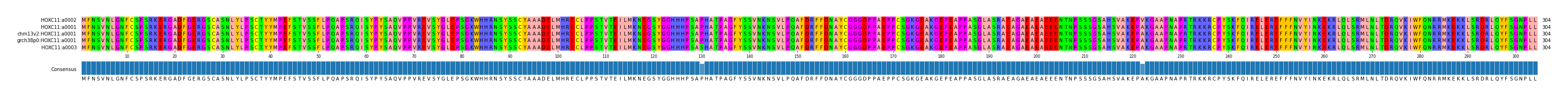 Multiple Alignments (by translate haplotype similarity)