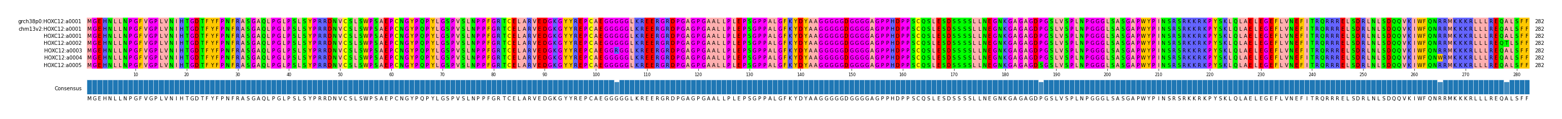 Multiple Alignments (by translate haplotype frequency)