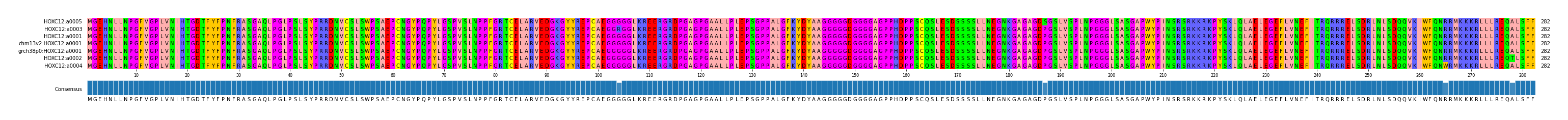 Multiple Alignments (by translate haplotype similarity)