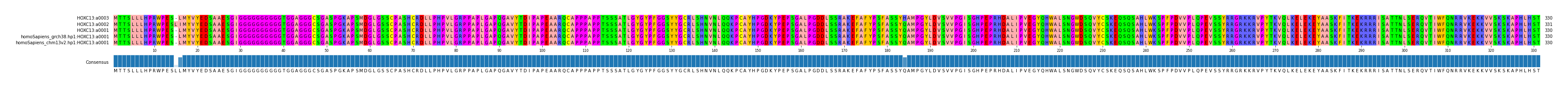 Multiple Alignments (by translate haplotype similarity)
