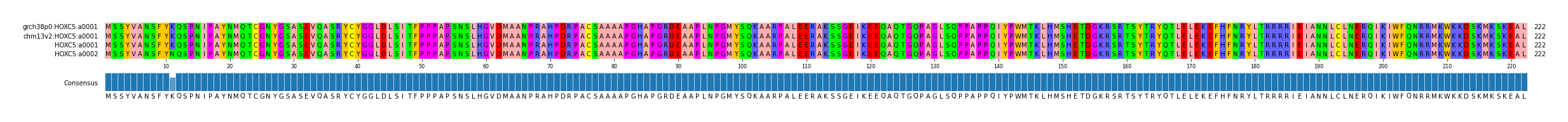 Multiple Alignments (by translate haplotype similarity)