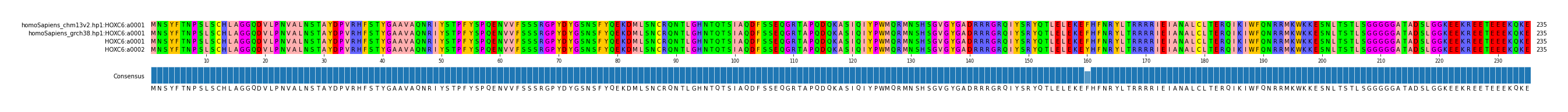 Multiple Alignments (by translate haplotype similarity)