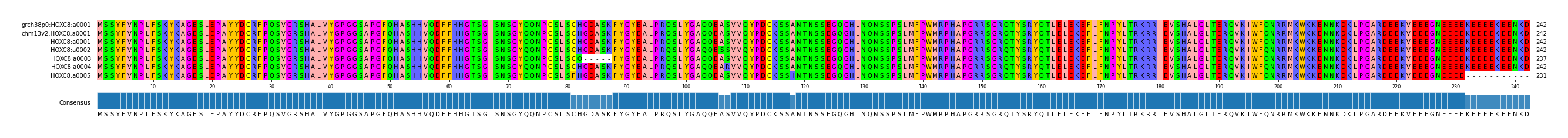 Multiple Alignments (by translate haplotype frequency)