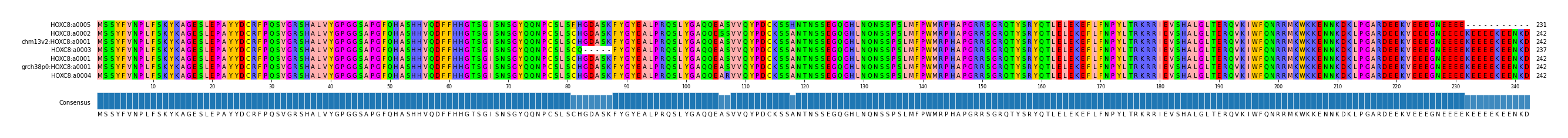 Multiple Alignments (by translate haplotype similarity)