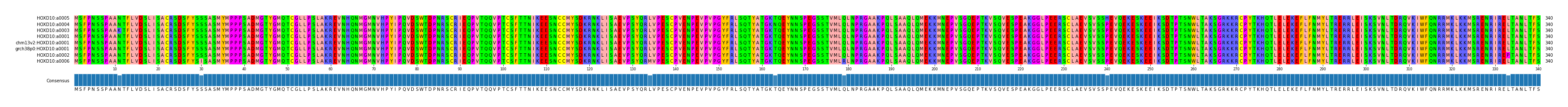 Multiple Alignments (by translate haplotype similarity)