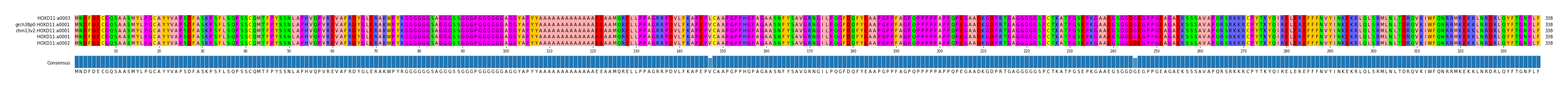 Multiple Alignments (by translate haplotype similarity)