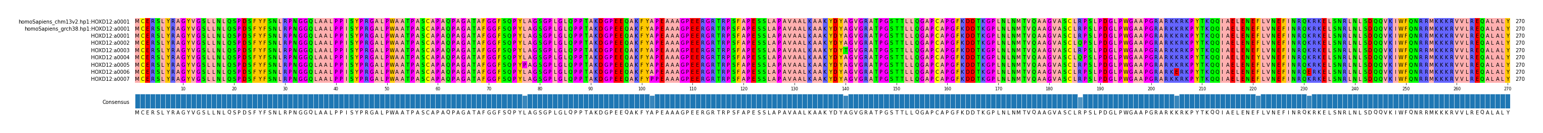 Multiple Alignments (by translate haplotype frequency)