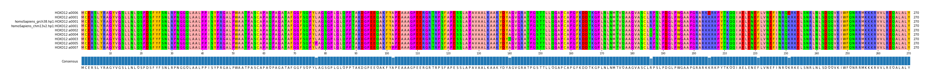 Multiple Alignments (by translate haplotype similarity)