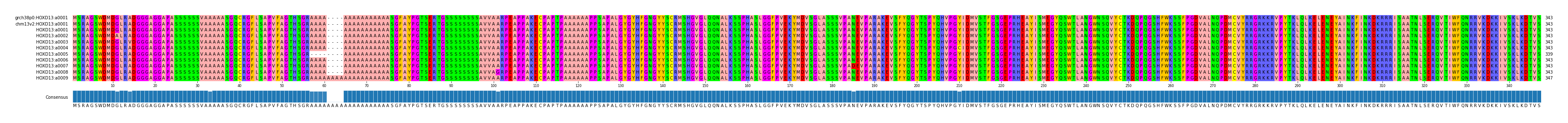 Multiple Alignments (by translate haplotype frequency)