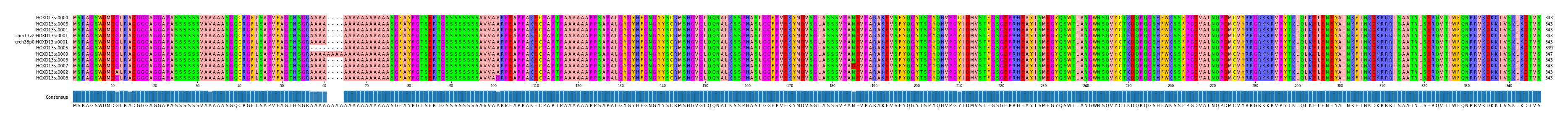 Multiple Alignments (by translate haplotype similarity)