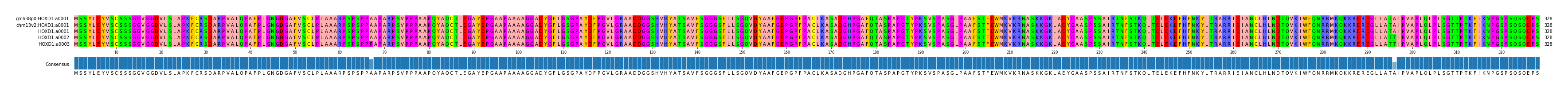 Multiple Alignments (by translate haplotype similarity)