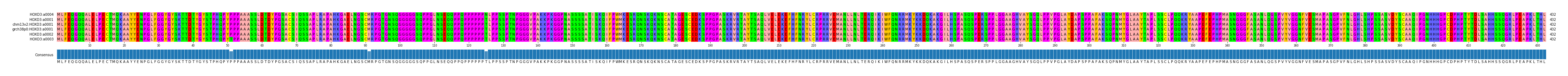 Multiple Alignments (by translate haplotype similarity)