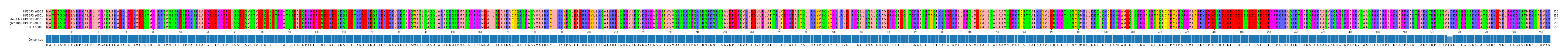 Multiple Alignments (by translate haplotype similarity)
