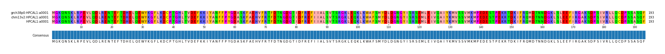 Multiple Alignments (by translate haplotype similarity)