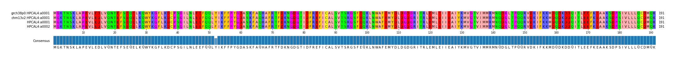 Multiple Alignments (by translate haplotype similarity)
