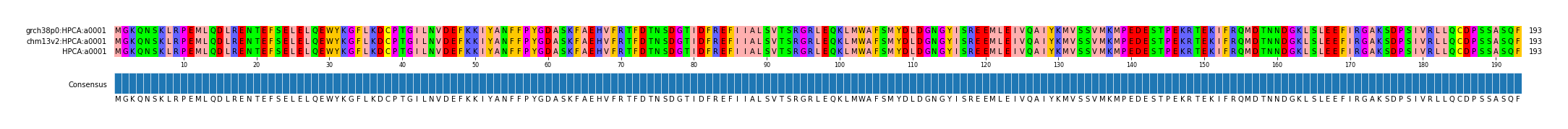 Multiple Alignments (by translate haplotype similarity)