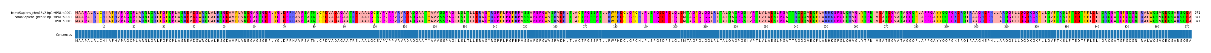 Multiple Alignments (by translate haplotype similarity)