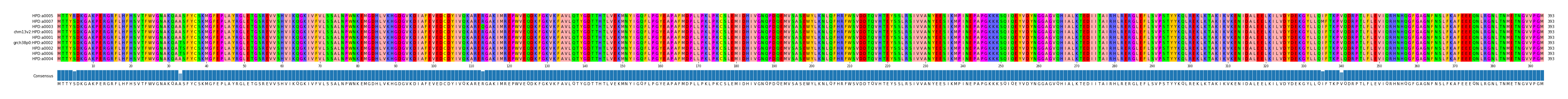 Multiple Alignments (by translate haplotype similarity)