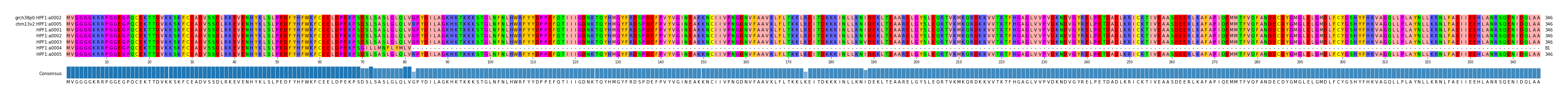 Multiple Alignments (by translate haplotype frequency)