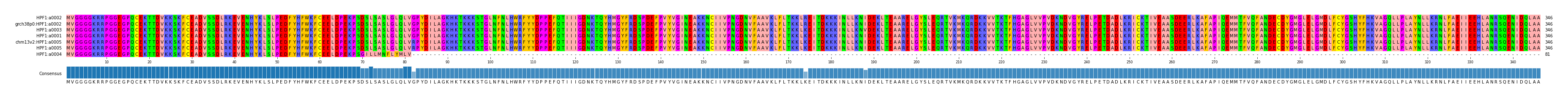 Multiple Alignments (by translate haplotype similarity)