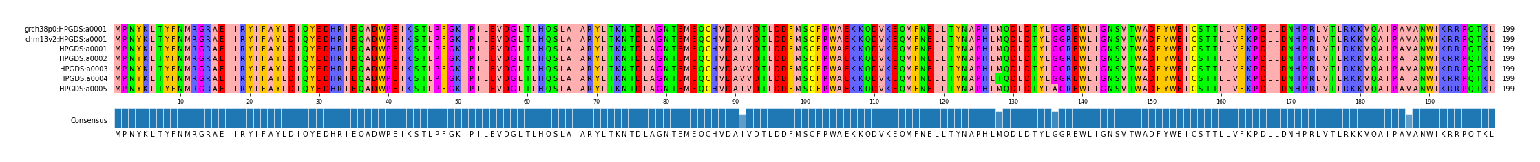 Multiple Alignments (by translate haplotype frequency)