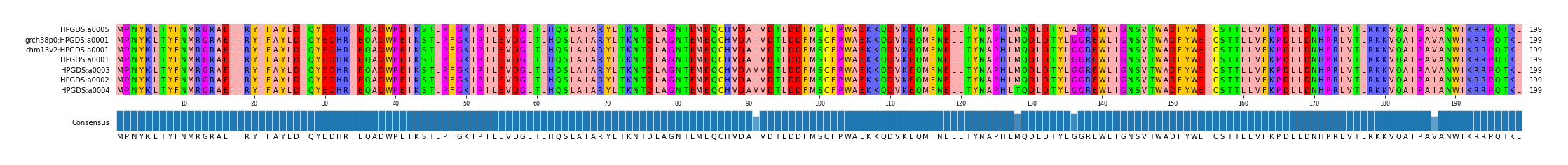 Multiple Alignments (by translate haplotype similarity)