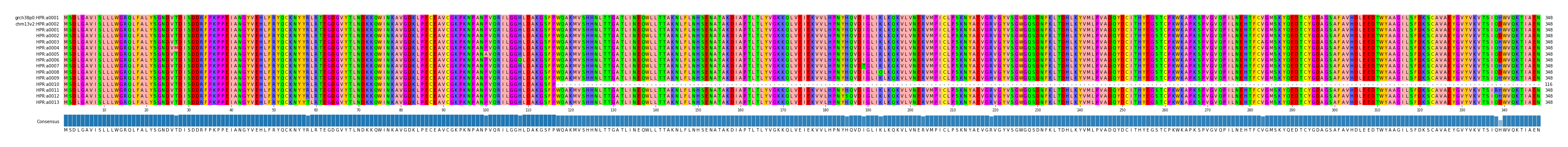 Multiple Alignments (by translate haplotype frequency)