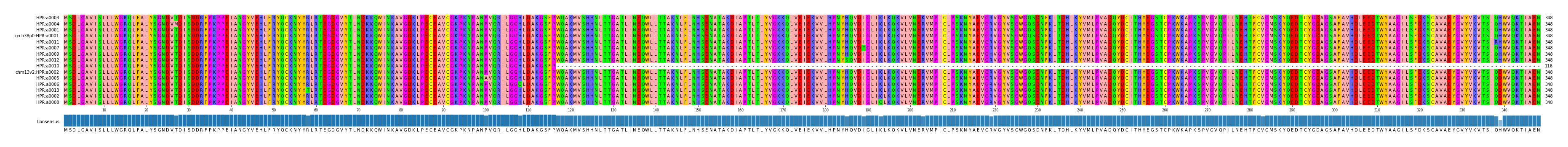 Multiple Alignments (by translate haplotype similarity)