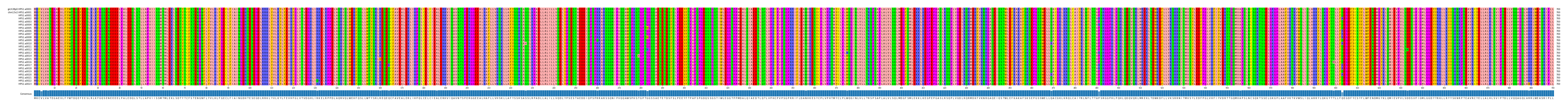 Multiple Alignments (by translate haplotype frequency)