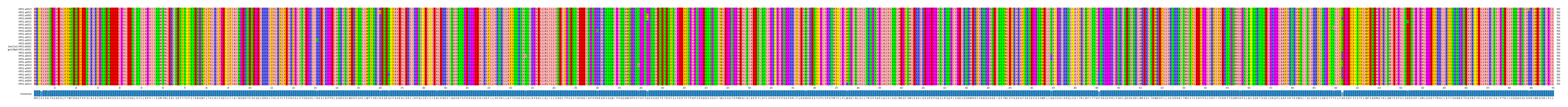 Multiple Alignments (by translate haplotype similarity)