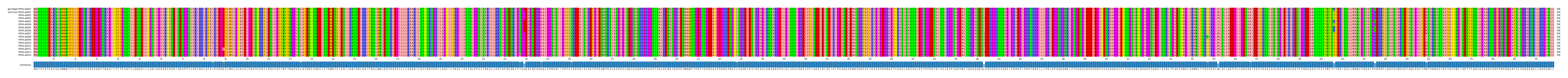 Multiple Alignments (by translate haplotype frequency)