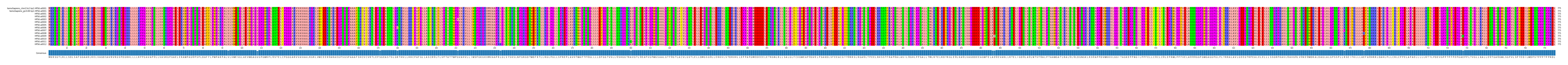 Multiple Alignments (by translate haplotype frequency)