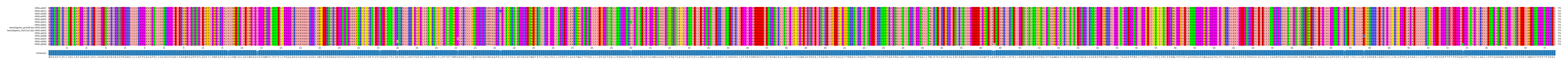 Multiple Alignments (by translate haplotype similarity)