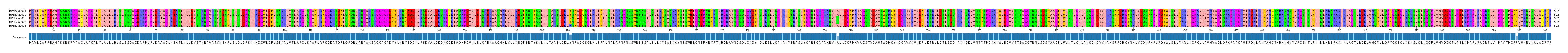 Multiple Alignments (by translate haplotype frequency)