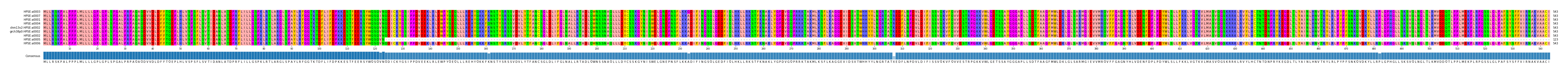 Multiple Alignments (by translate haplotype similarity)