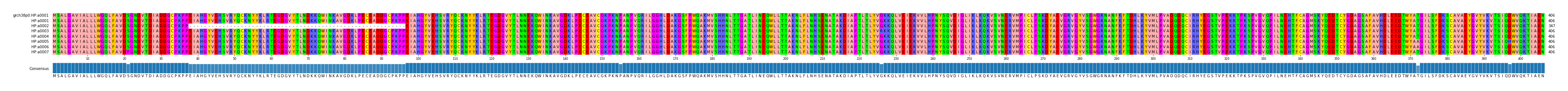 Multiple Alignments (by translate haplotype frequency)