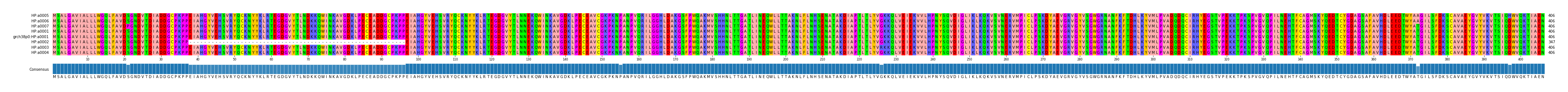Multiple Alignments (by translate haplotype similarity)