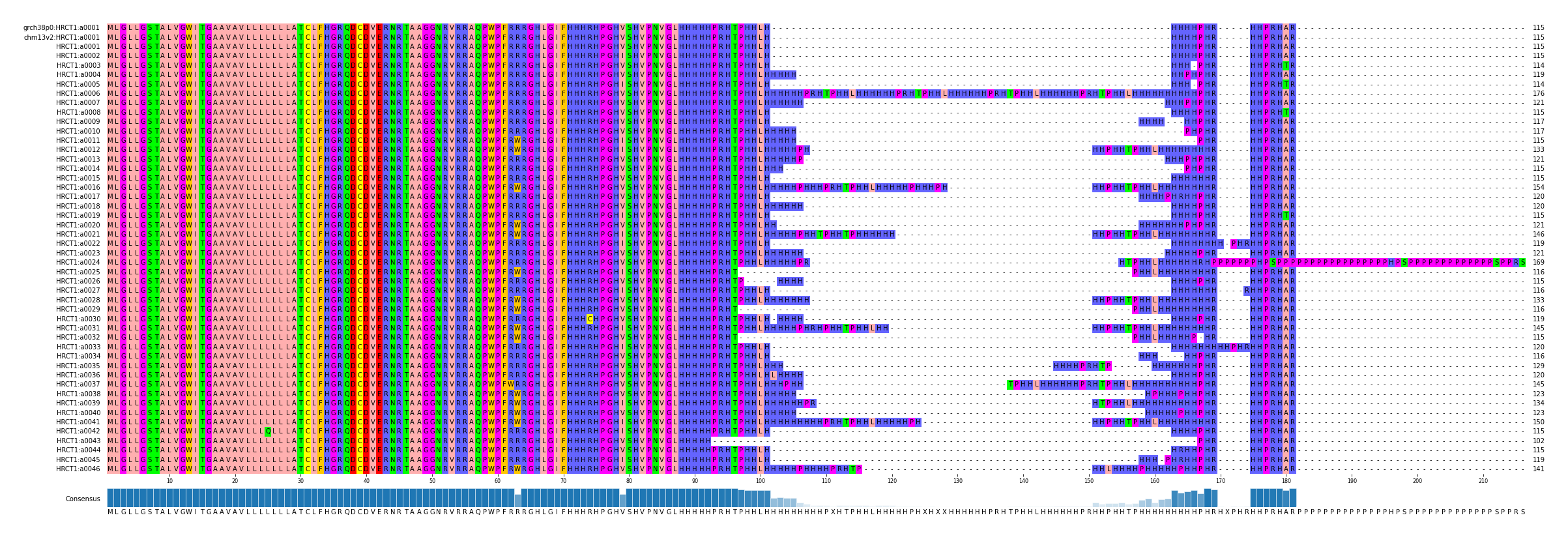 Multiple Alignments (by translate haplotype frequency)