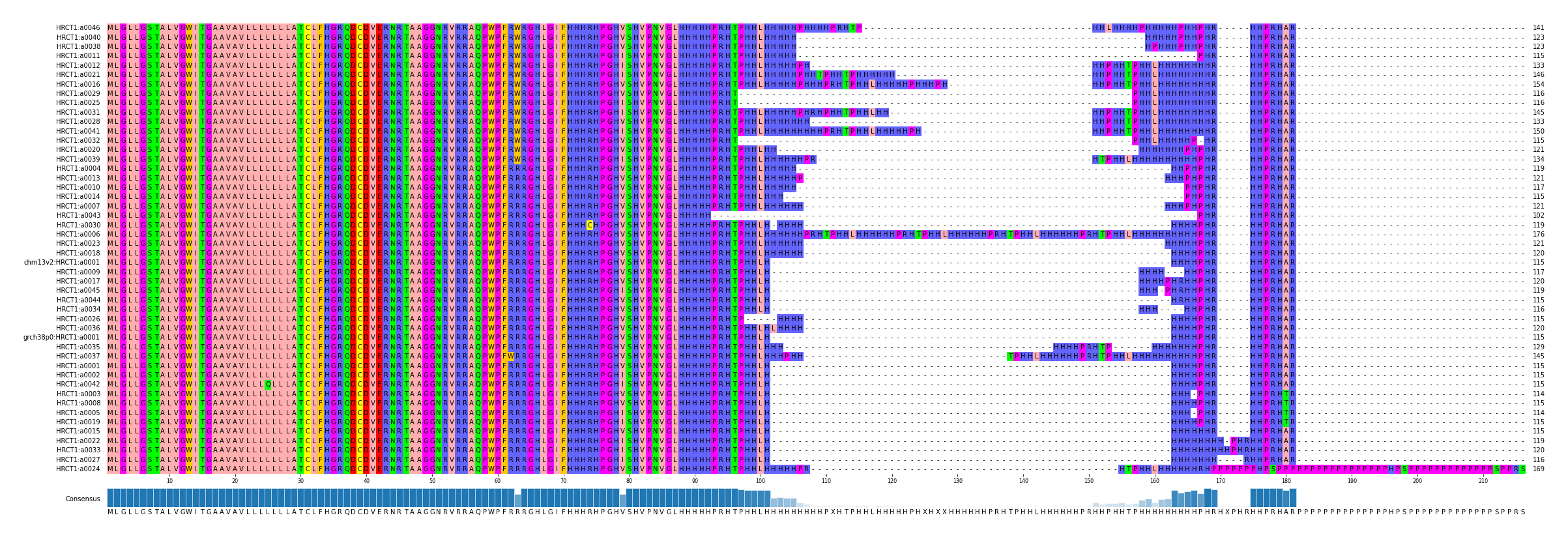 Multiple Alignments (by translate haplotype similarity)