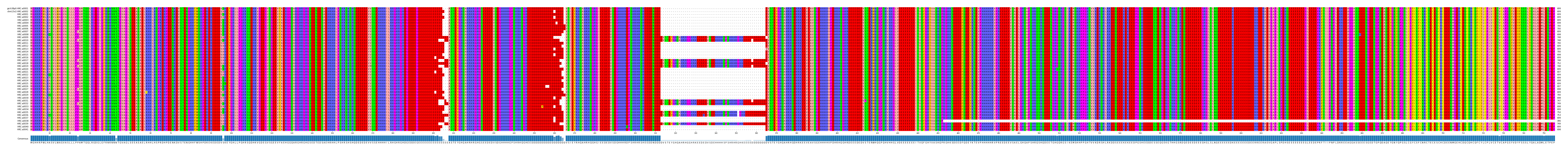 Multiple Alignments (by translate haplotype frequency)