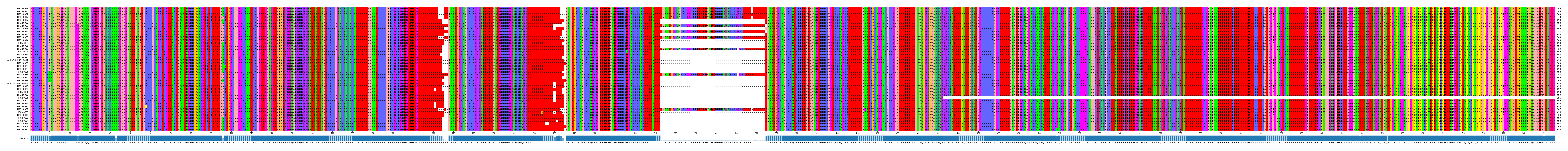 Multiple Alignments (by translate haplotype similarity)