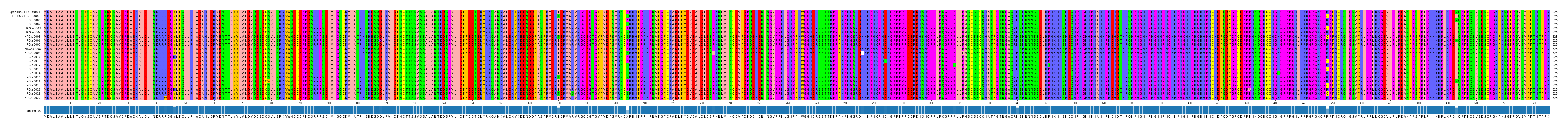 Multiple Alignments (by translate haplotype frequency)